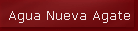Agua Nueva Agate