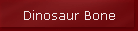 Dinosaur Bone